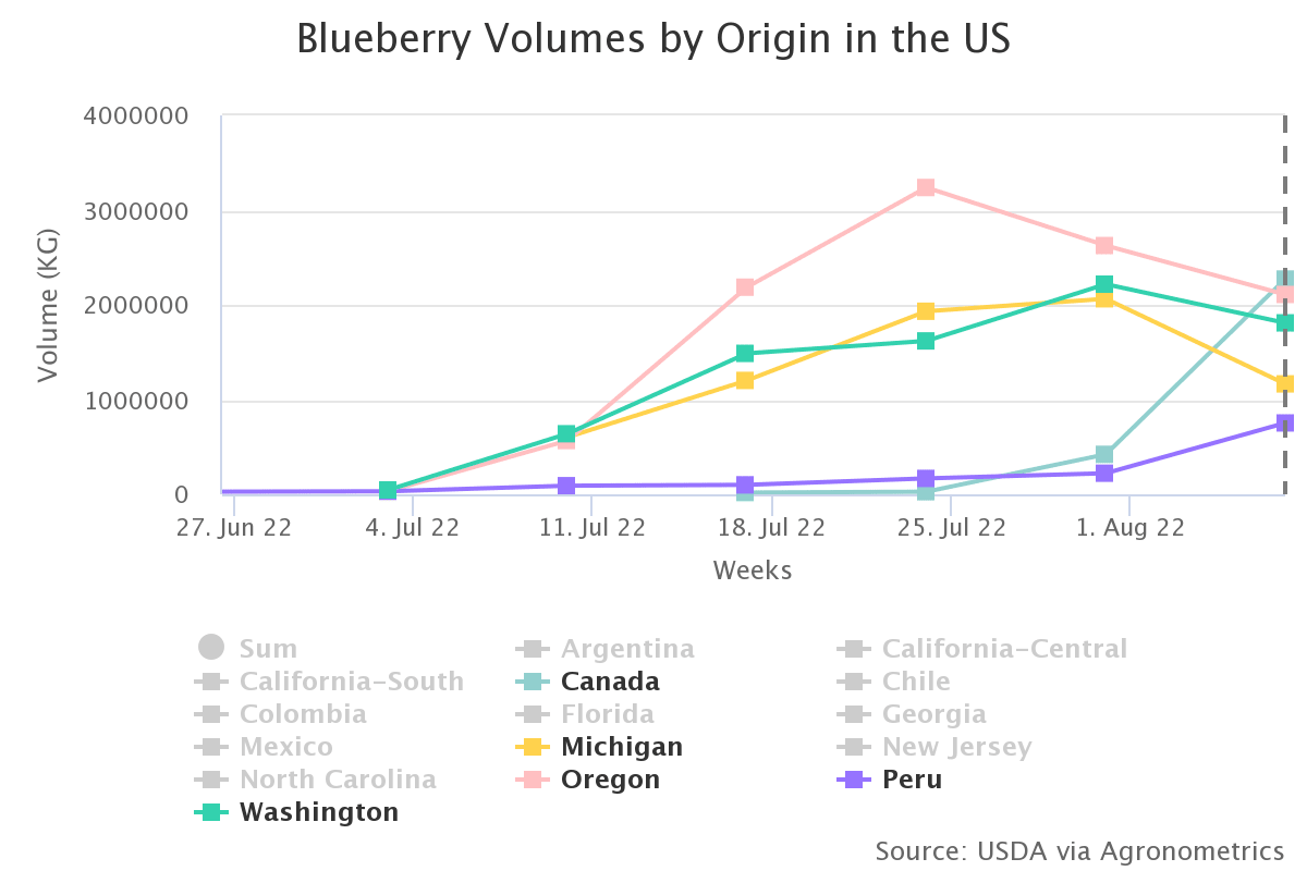 blueberry volumes by ori 1